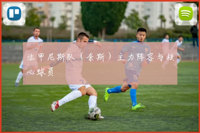 法甲尼斯队（奈斯）主力阵容与核心球员