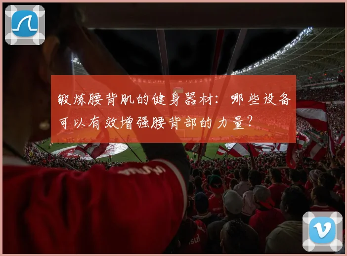 锻炼腰背肌的健身器材:哪些设备可以有效增强腰背部的力量?