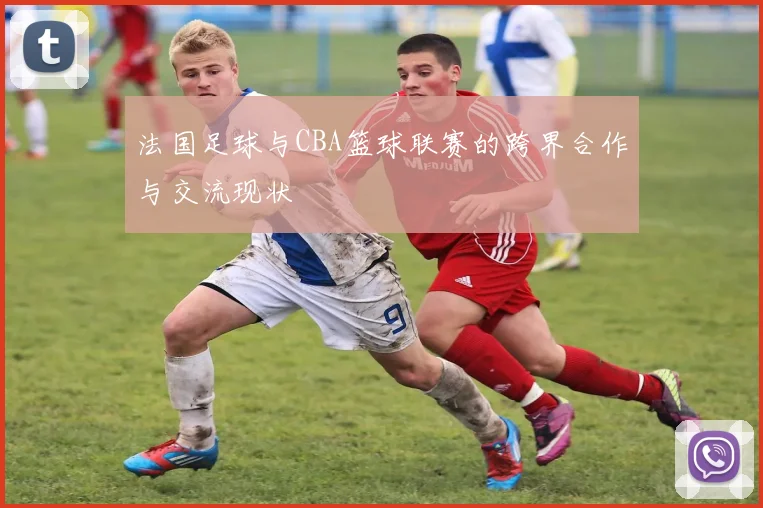 法国足球与CBA篮球联赛的跨界合作与交流现状