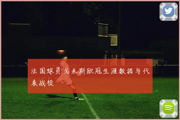 法国球员戈米斯欧冠生涯数据与代表战役