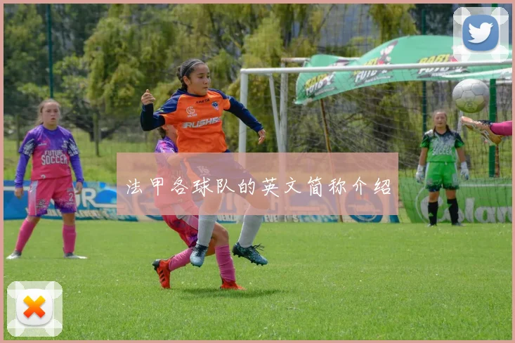 法甲各球队的英文简称介绍