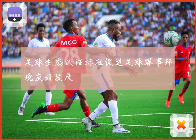 足球生态认证标准促进足球赛事环境友好发展