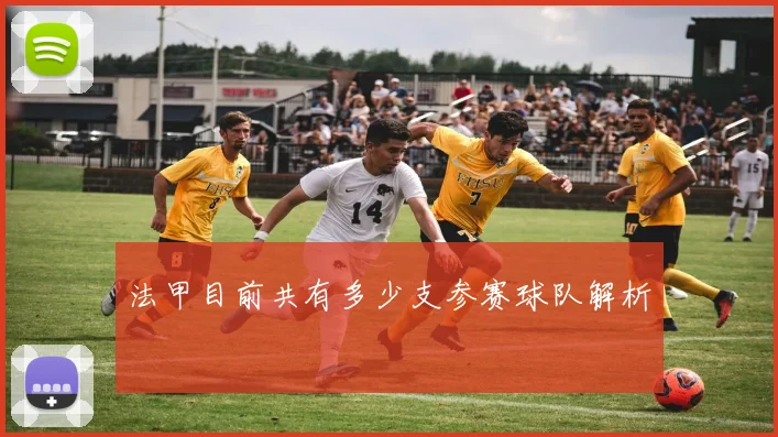法甲目前共有多少支参赛球队解析
