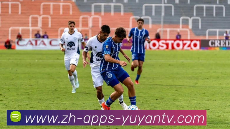 雨燕直播平台生态图