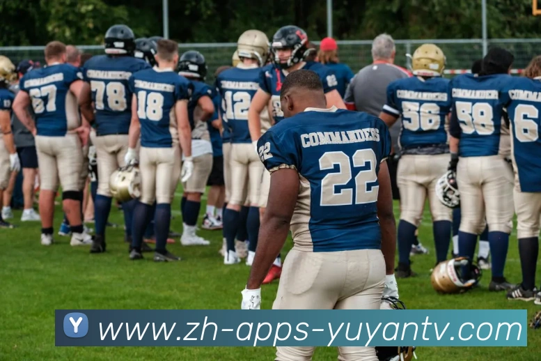 辅助工具 辅助工具